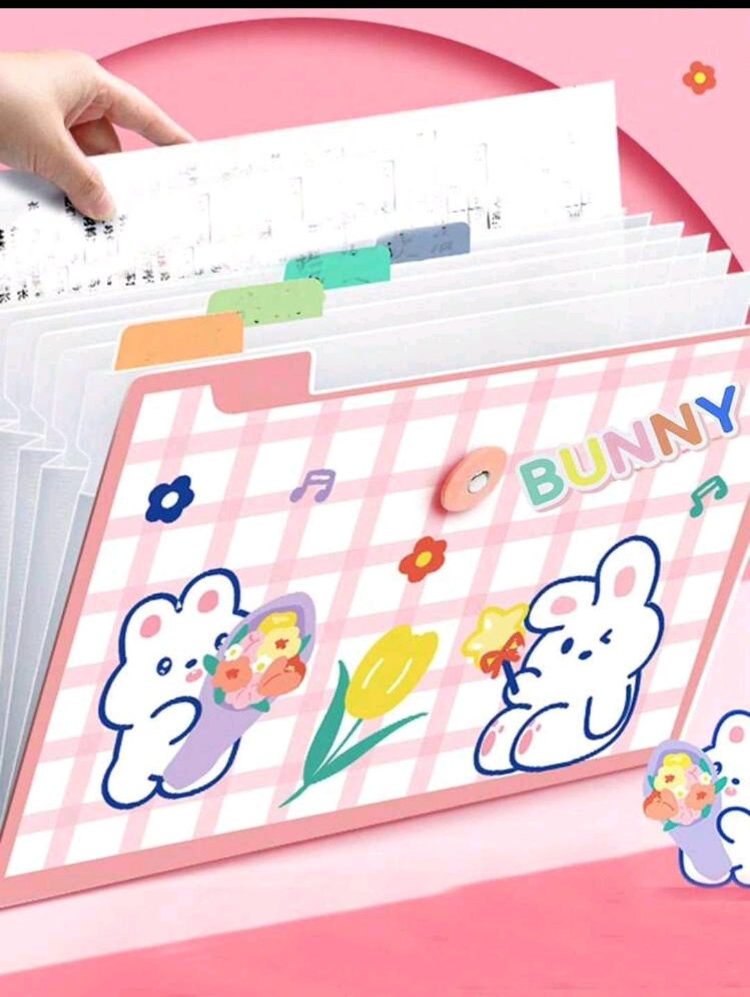 Bunny File